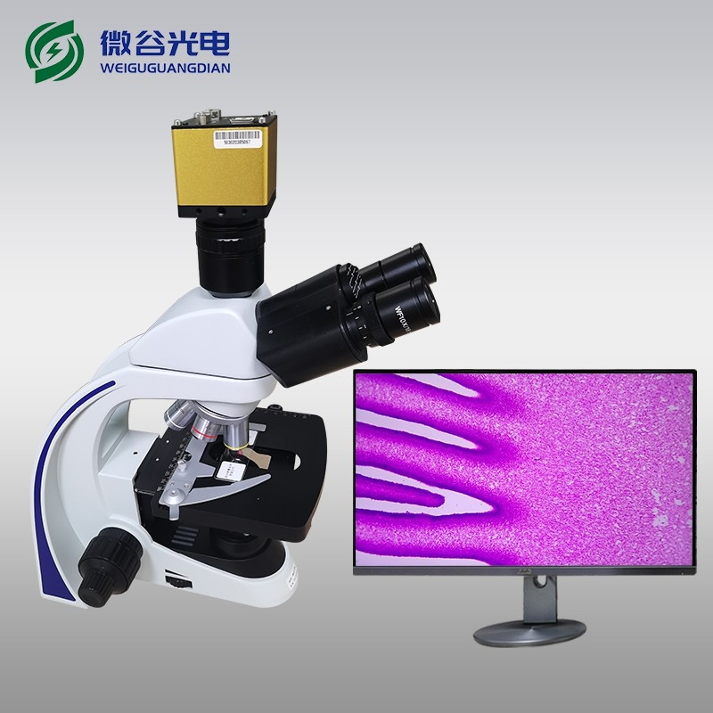 生物光學(xué)顯微鏡的使用及維護(hù)